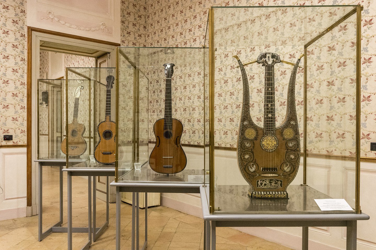 stringed instruments