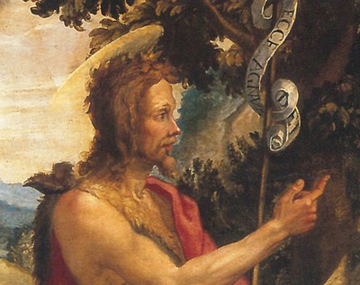 Prediction of John the Baptist in the Desert