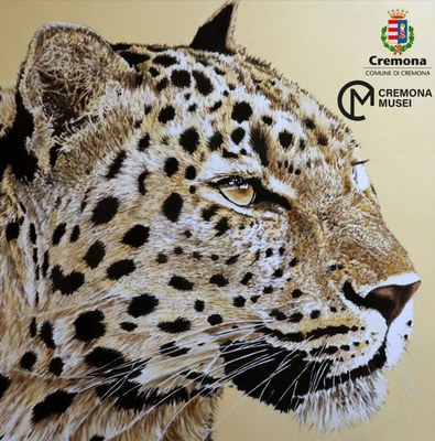 la wildlife art di Tiziana Sanna al Museo di Storia Naturale